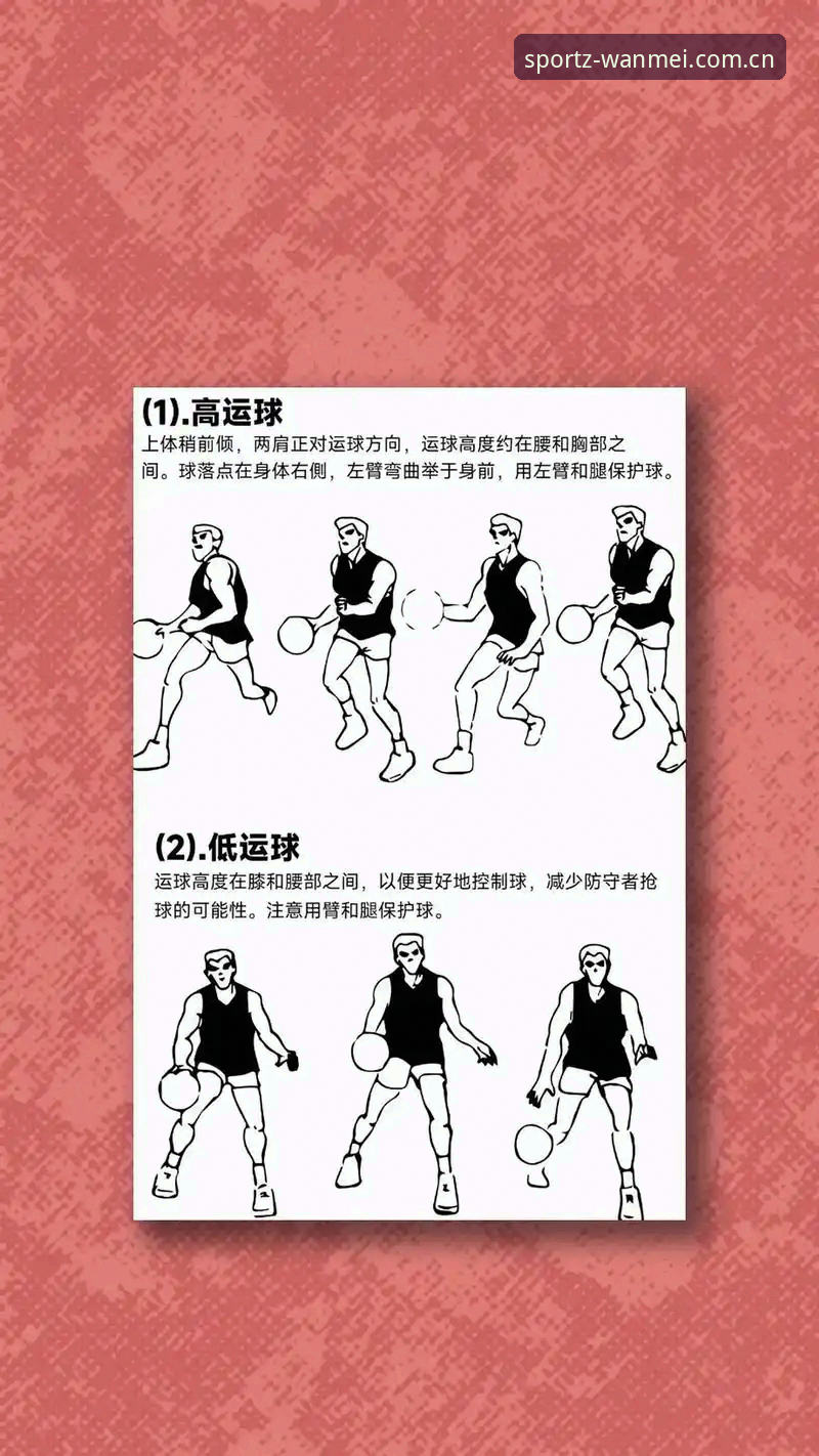 完美体育官网使用评测实用指南：新手必备的详细操作技巧